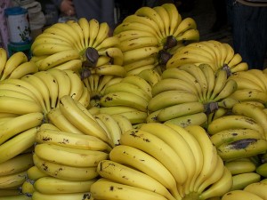 Marut Monkey & Bananas - Kids Short Story with Pictures Banana