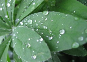 Read English Short Story This Shall Pass Too….. recommended-short-story