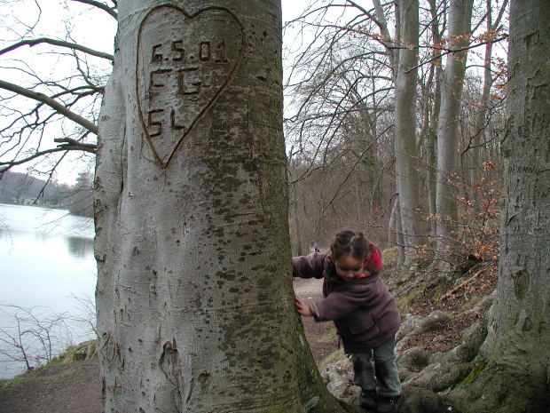 Read Friends Story girl-child-tree-lake