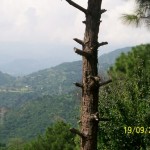 trip-dalhousie-Khajjiar-1