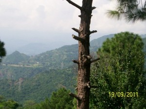 trip-dalhousie-Khajjiar-1