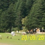 trip-dalhousie-Khajjiar-4