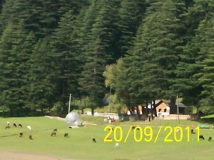 trip-dalhousie-Khajjiar-4