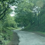 sinhagad_lion_fort_pune_22