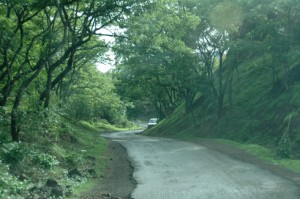 sinhagad_lion_fort_pune_22