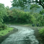 sinhagad_lion_fort_pune_23