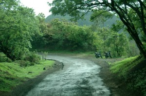 sinhagad_lion_fort_pune_23