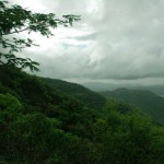 sinhagad_lion_fort_pune_25